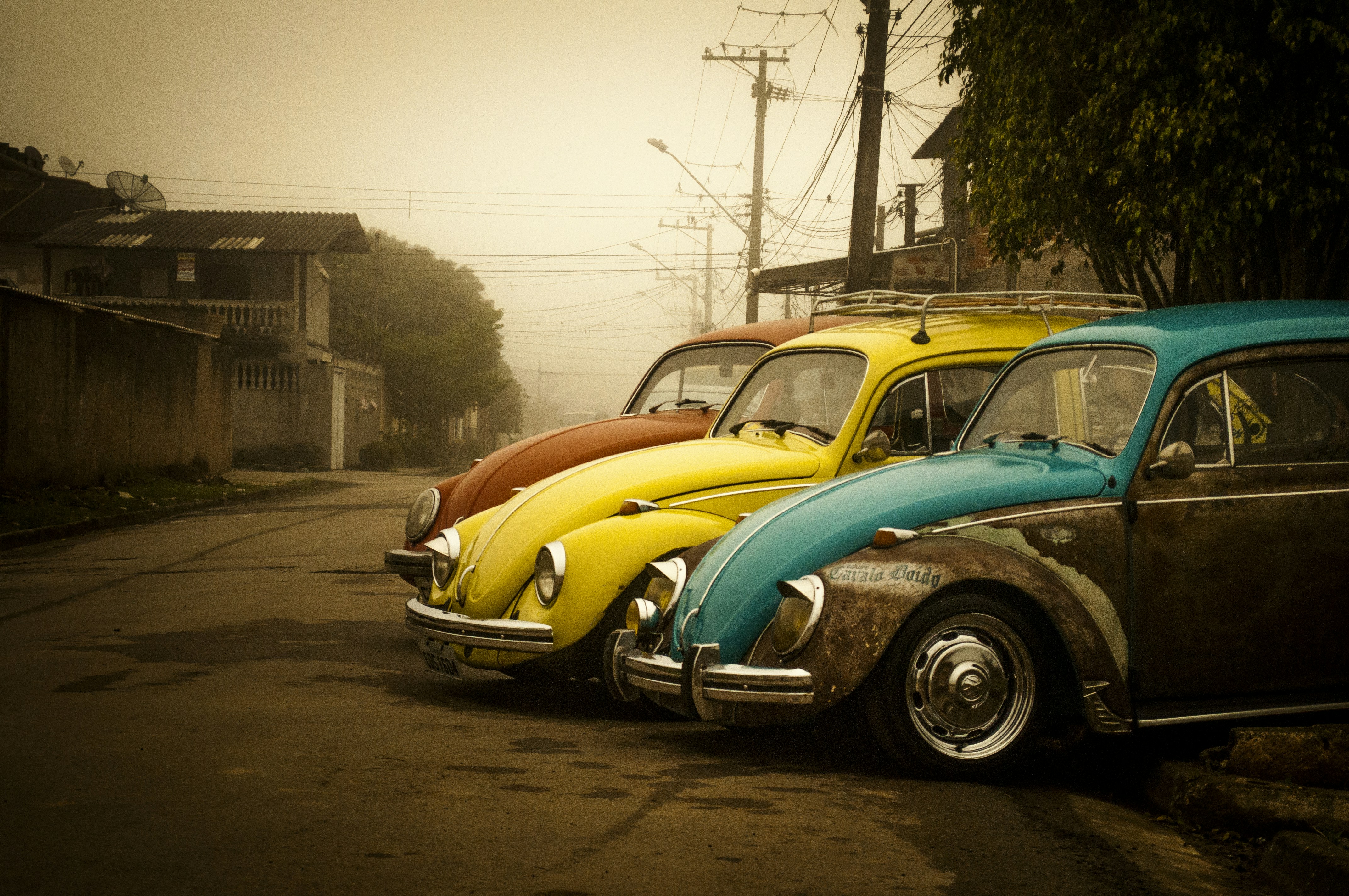 The Beetles